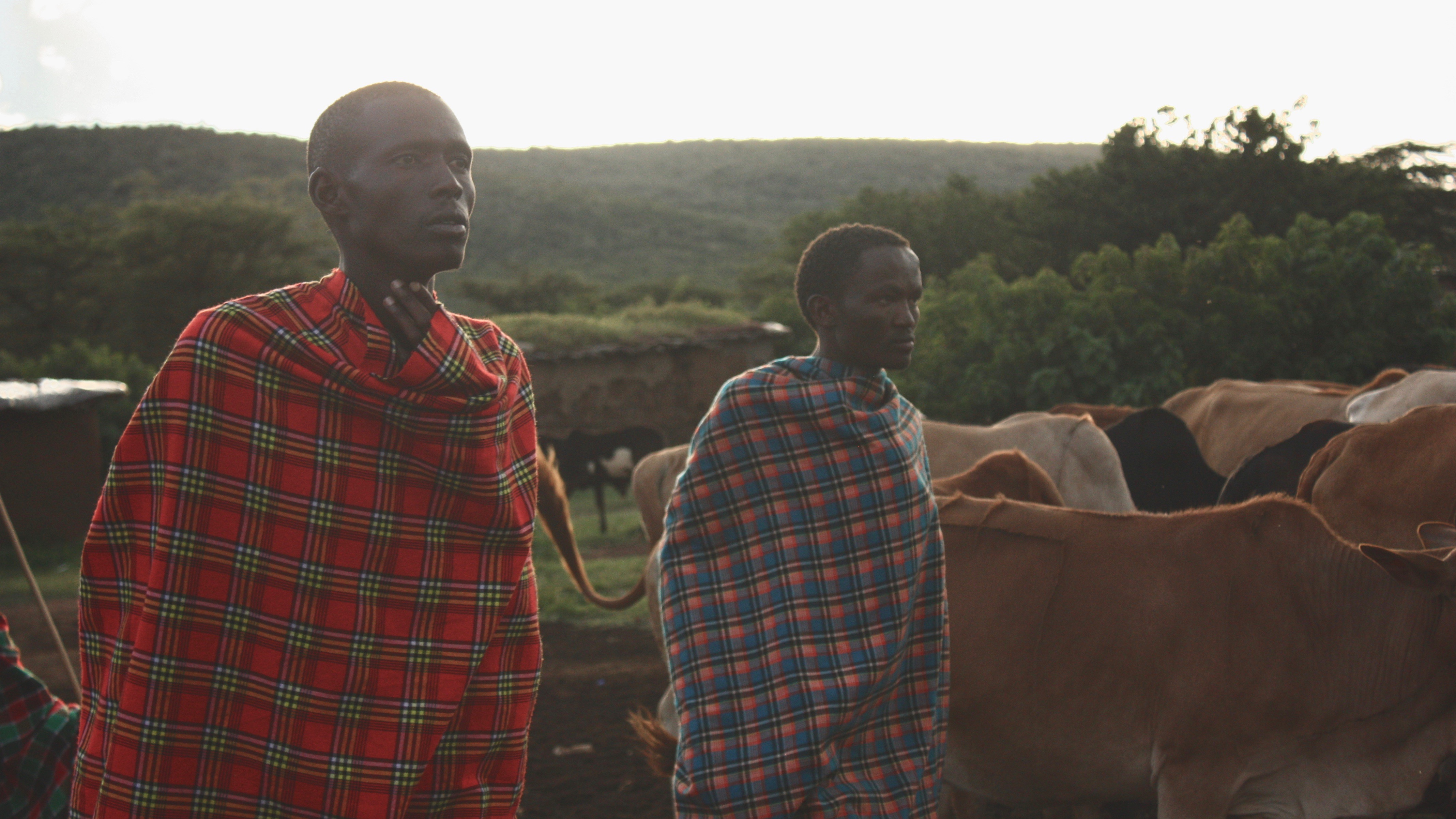 Photo Journal: Part 2: Chasing the Big 5 Masai Mara, Kenya